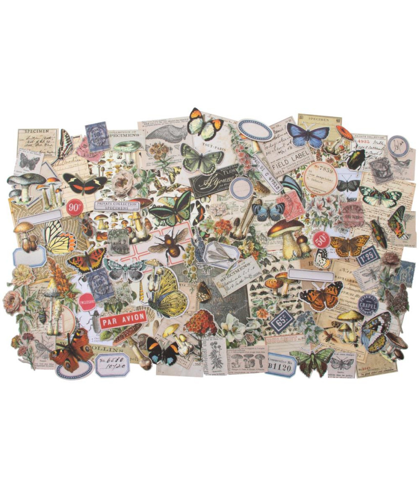 Tim Holtz Idea-Ology Ephemera/Die Cuts Pack - Field Notes