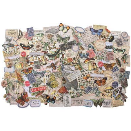 Tim Holtz Idea-Ology Ephemera/Die Cuts Pack - Field Notes
