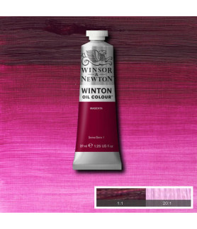 Winsor & Newton Oil 37ml- Magenta