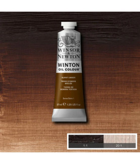 Winsor & Newton Oil 37ml- Burnt Umber