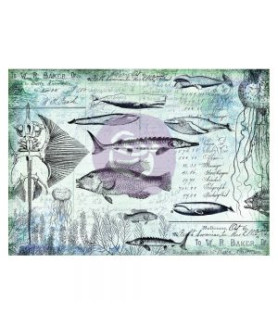 Prima Marketing Finnabair Decorative/Tissue Paper - Daily Nautical