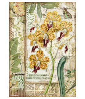 Stamperia A4 Tissue Paper Amazonia Orchid