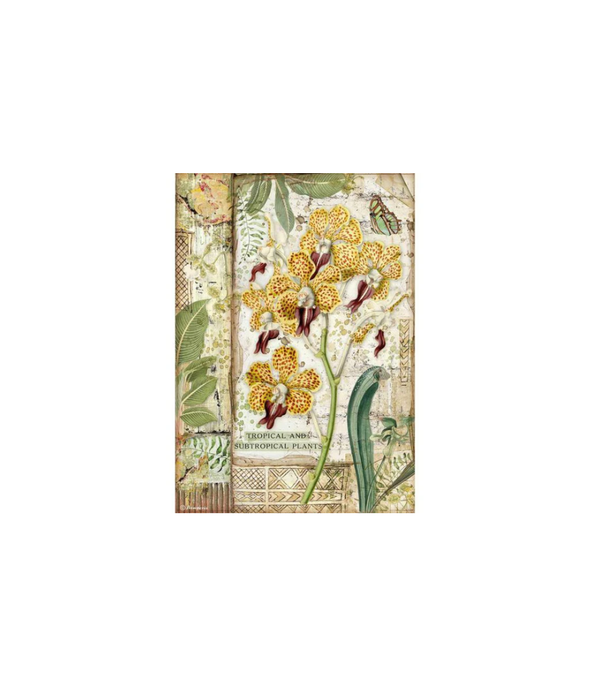 Stamperia A4 Tissue Paper Amazonia Orchid