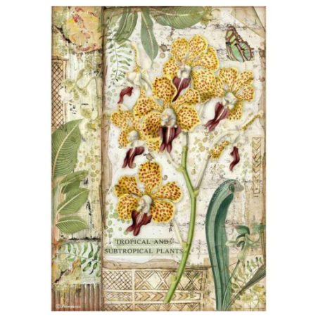 Stamperia A4 Tissue Paper Amazonia Orchid