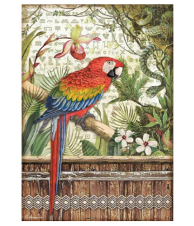 Stamperia A4 Tissue Paper  Amazonia Parrot