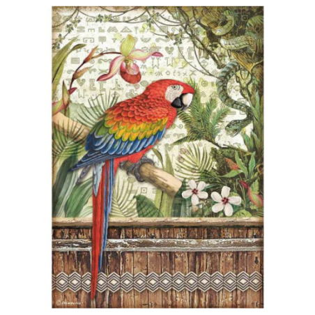 Stamperia A4 Tissue Paper  Amazonia Parrot