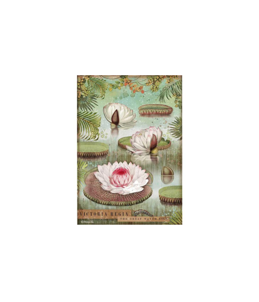 Stamperia A4 Tissue Paper Amazonia Water Lily