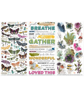 49 and Market Rub-On Transfer Set -Essential Curiosities in Willow Grove