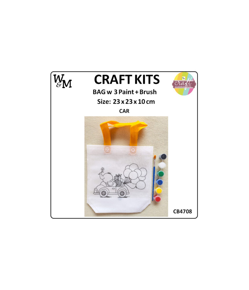 W&M Craft Kit Bag CAR w Paint + Brush