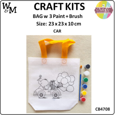 W&M Craft Kit Bag CAR w Paint + Brush