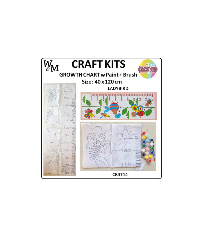 W&M Craft Kit Growth Chart LADYBIRD w Paint + Brush
