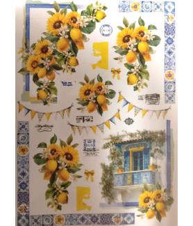 Celebr8 La Bella Vie A4 Acetate Sheet