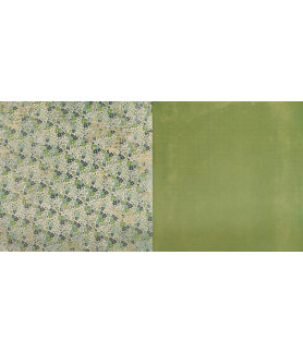 Arden Hidden Creek Paper 005