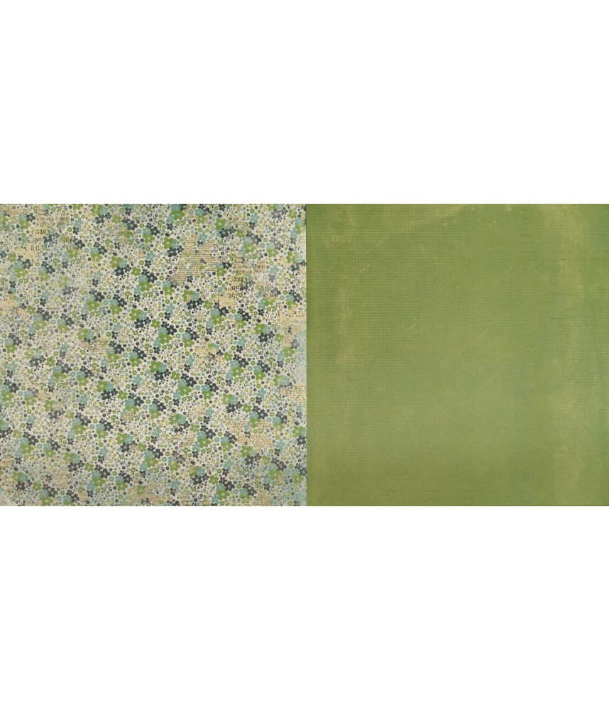 Arden Hidden Creek Paper 005