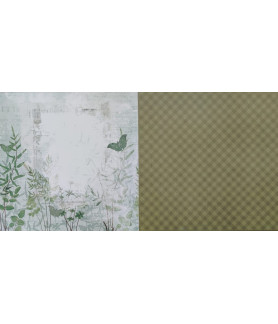 Arden Hidden Creek Paper 007