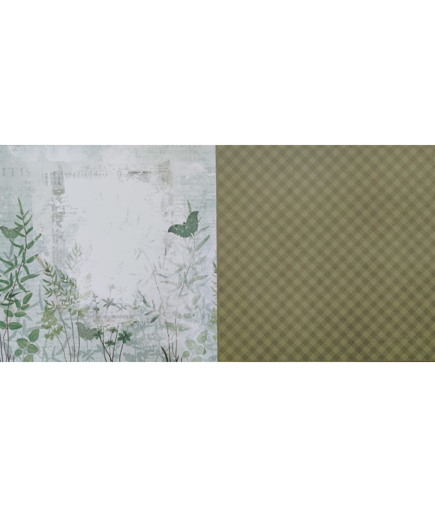 Arden Hidden Creek Paper 007