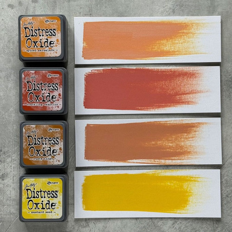 Ranger Tim Holtz Distress Mini Oxide Ink Pads Set 2