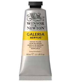 Winsor & Newton Galeria Acrylic Colour 60ml - Naples Yellow