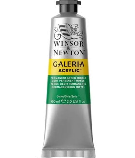 Winsor and Newton Galeria Acrylic Paint 60ml - Permanent Green Middle