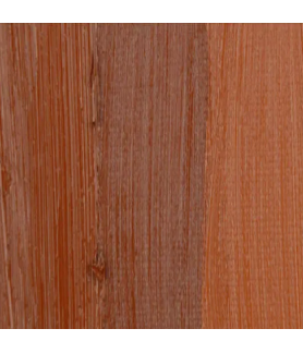 Zellen ZELCOL ARTIST OIL PAINT  50ml tub - Light Red