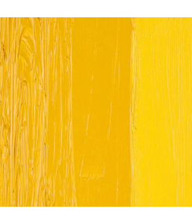 Zellen ZELCOL ARTIST OIL PAINT 50ml tub - Arylamide Yellow Deep