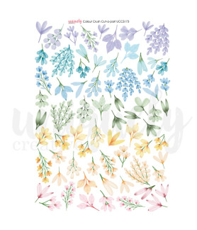 Uniquely Creative A4 Elements Sheet -Colour Crush