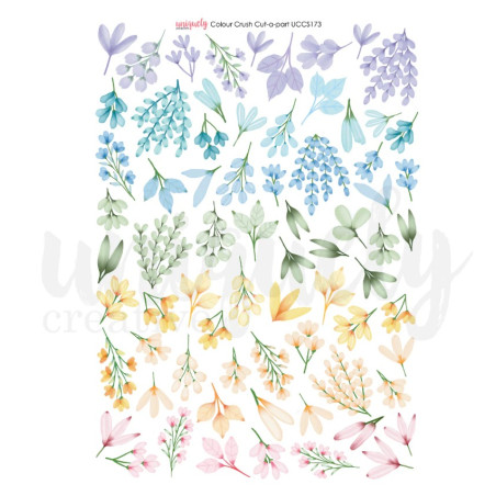 Uniquely Creative A4 Elements Sheet -Colour Crush