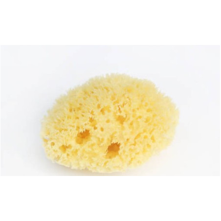 Artist Natural Sea Sponges