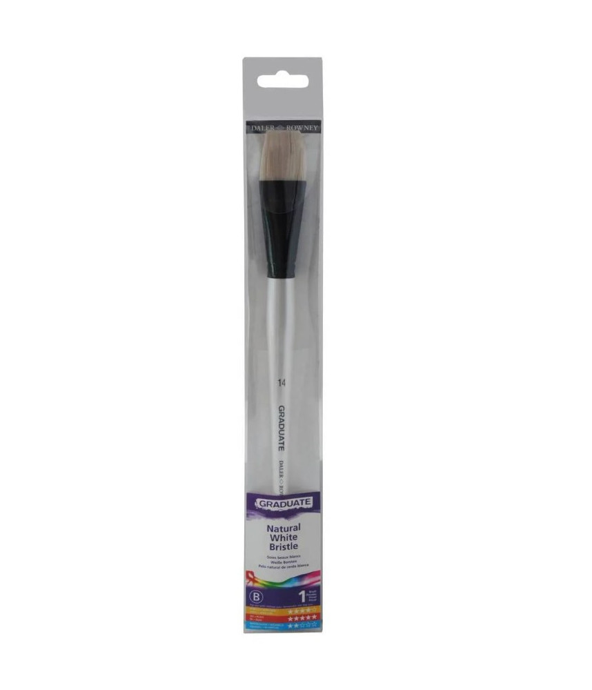 Daler-Rowney Graduate Bristle Bright Size 14 Brush