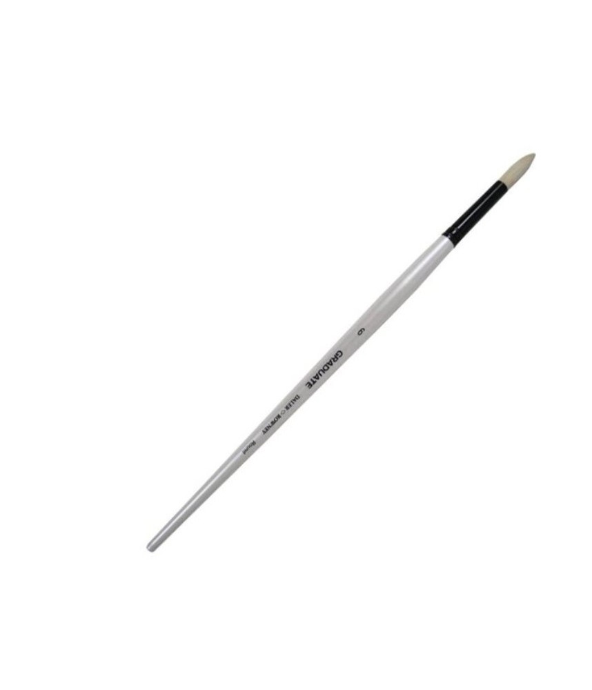 Daler-Rowney Long Handle Bristle Round Graduate Brush Size 6 White