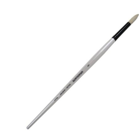 Daler-Rowney Long Handle Bristle Round Graduate Brush Size 6 White