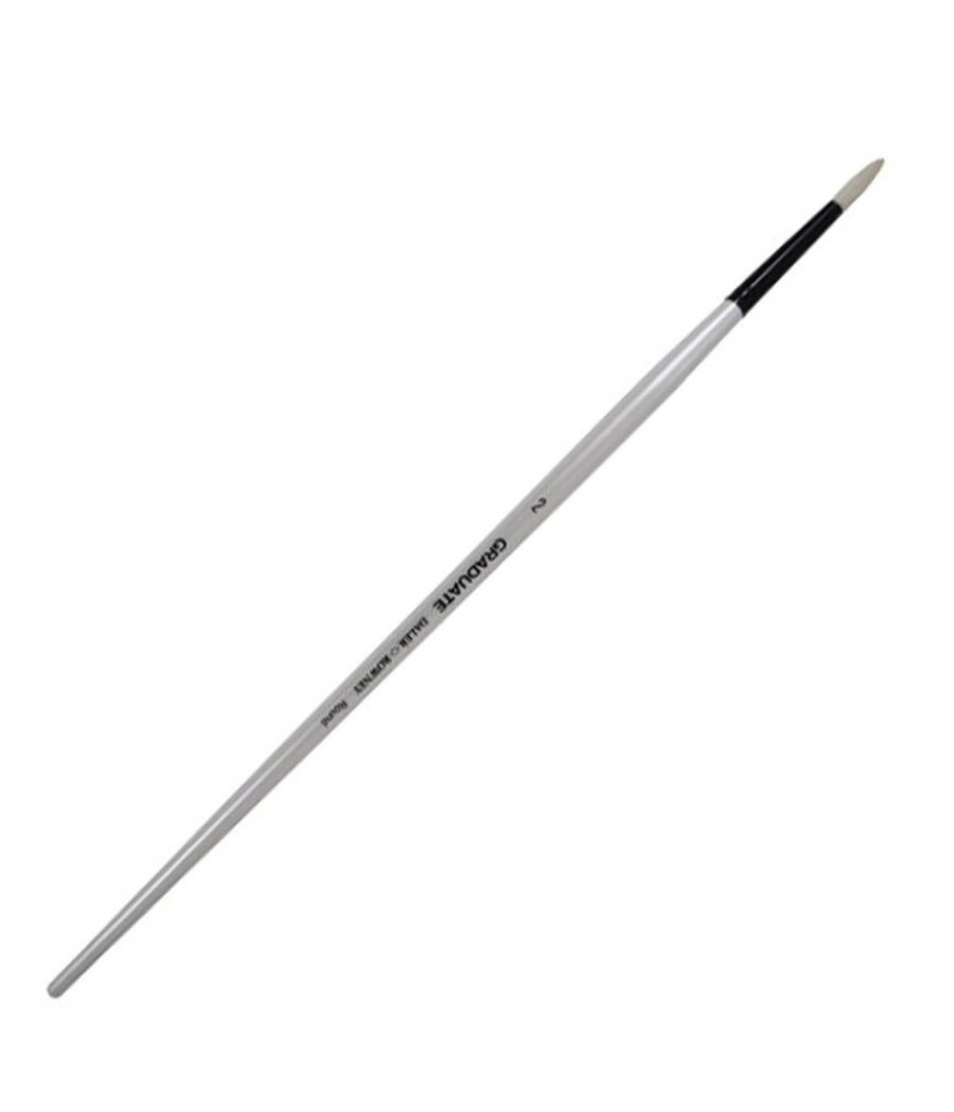 Daler-Rowney Long Handle Bristle Round Graduate Brush Size 2 White