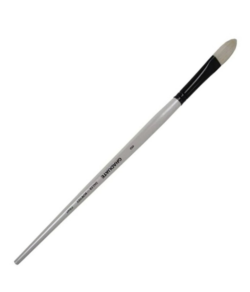 Daler-Rowney Long Handle Bristle Filbert Graduate Brush Size 8 White