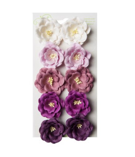 Bloom Flowers Magnolias - Purple