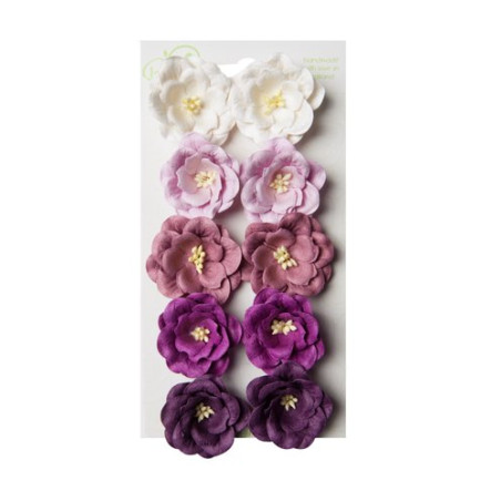 Bloom Flowers Magnolias - Purple