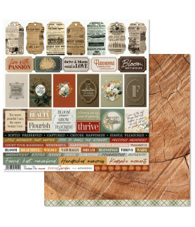 Penelope Dee Paper Garden 12 X 12 Scrapbook Paper - Wonderful