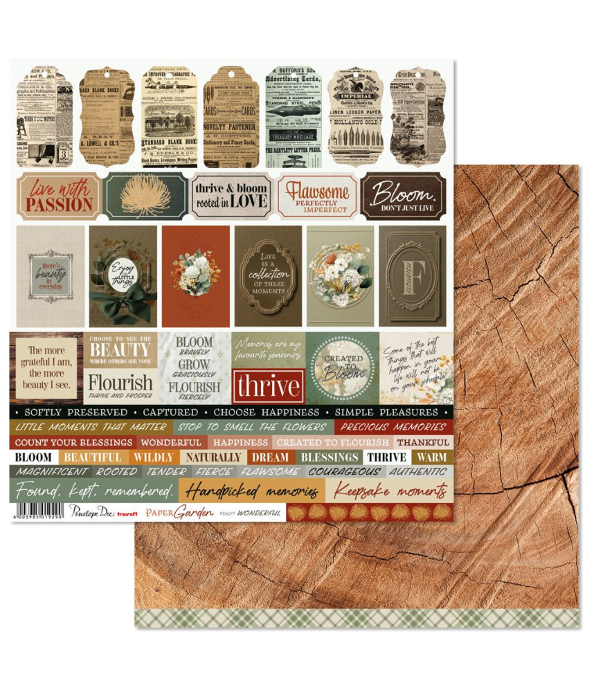 Penelope Dee Paper Garden 12 X 12 Scrapbook Paper - Wonderful