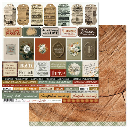 Penelope Dee Paper Garden 12 X 12 Scrapbook Paper - Wonderful