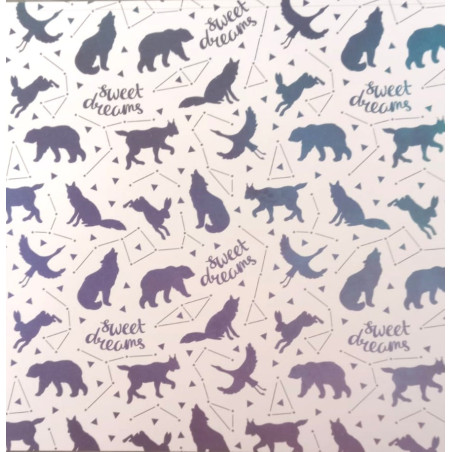 American Craft April & Ivy 12 x 12 Scrapbook Paper 014