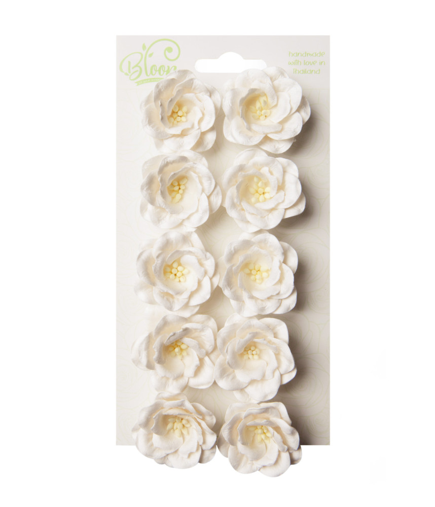 Bloom Flowers - White