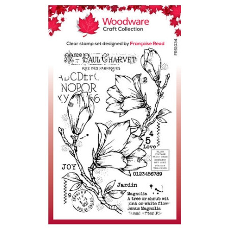 Woodware - Spring Magnolia Clear Stamp