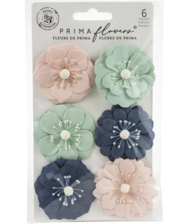 Prima Marketing Flowers Cagliari - Capri
