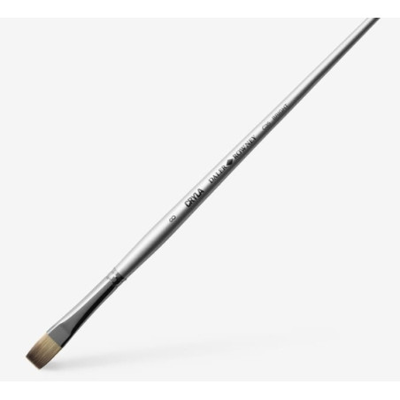 Daler-Rowney - Cryla  C35 Long Handled Brush Bright Size 8