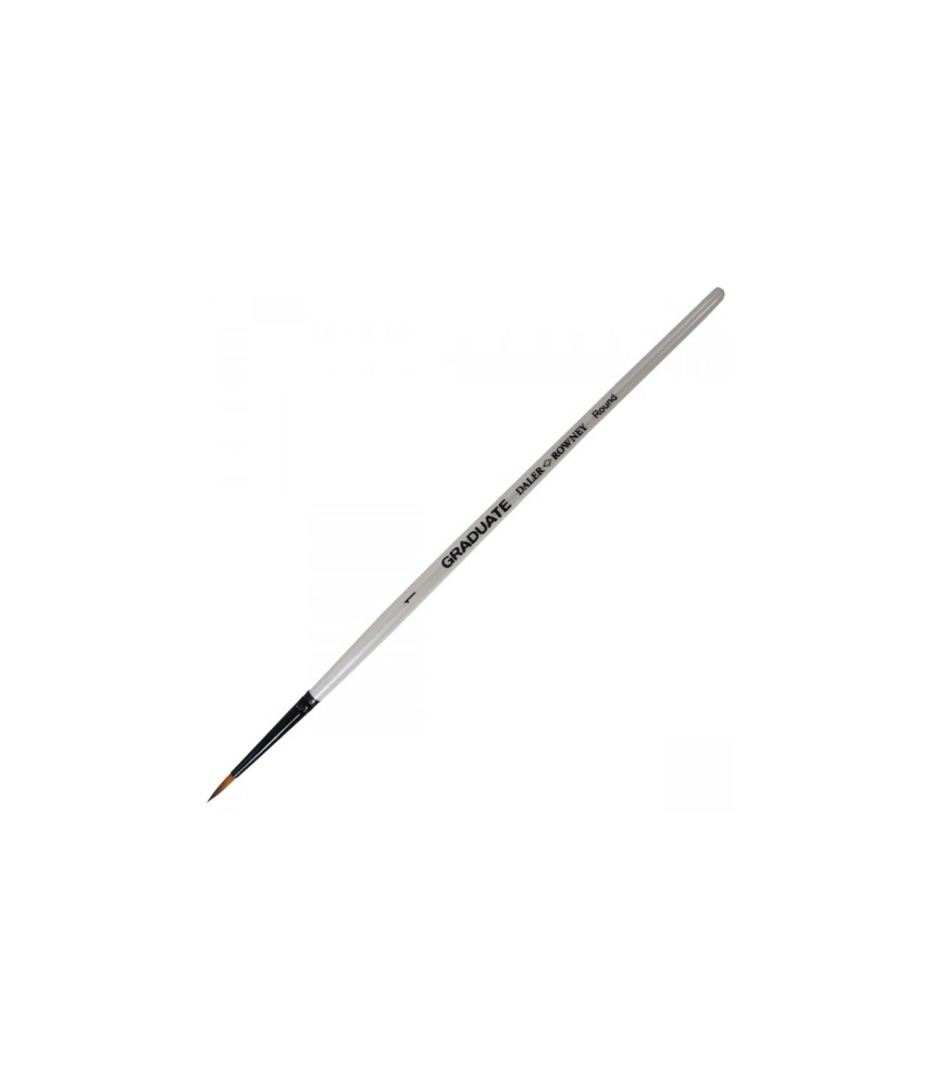 Daler-Rowney Graduate Brush Round 1