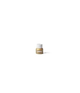 All-Purpose Ink - Vegas Gold