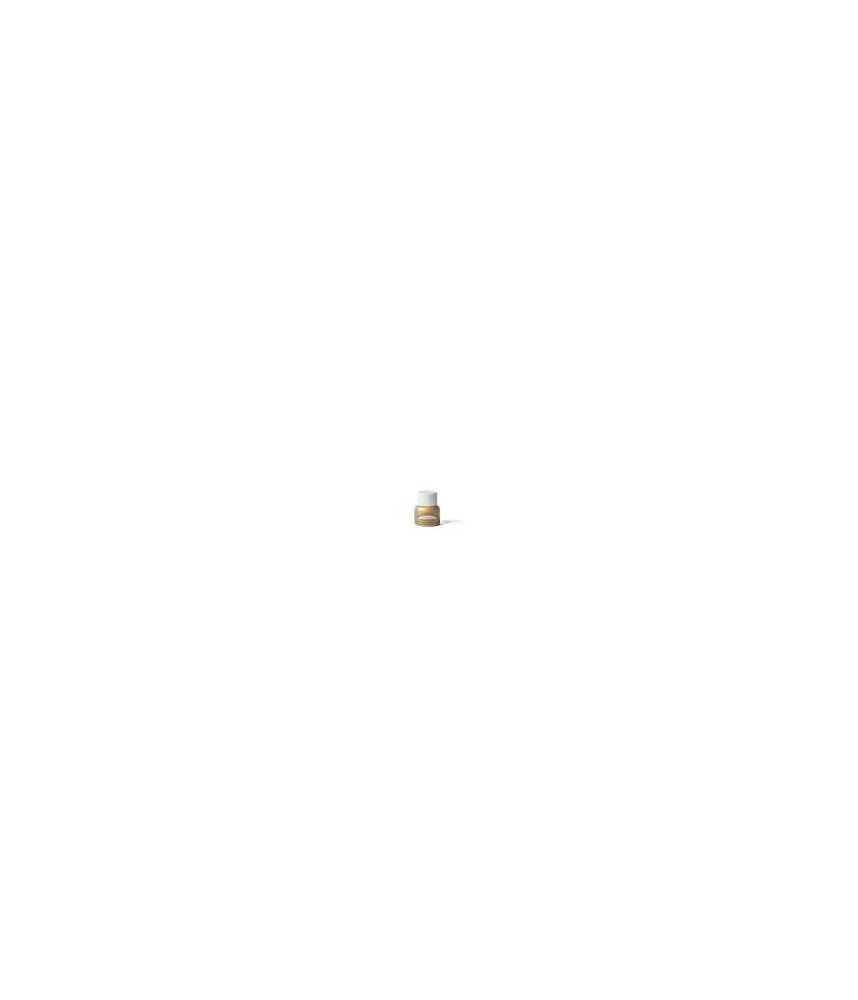 All-Purpose Ink - Vegas Gold