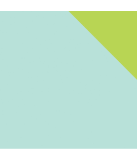 Echo Park Sunny Days ahead 12 x 12 Scrapbook Paper - Blue/ Green