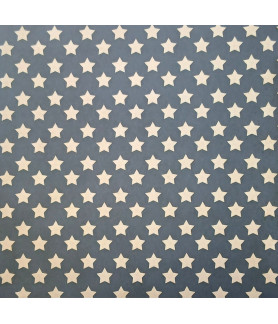 Scrap Collections All Stars 12 x 12 Scrapbook Paper 004