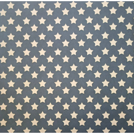 Scrap Collections All Stars 12 x 12 Scrapbook Paper 004